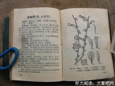 15条关于也年一的经典语句