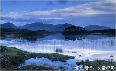 惜爱句子