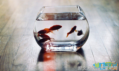 美丽人生经典名句