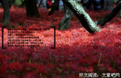 《梁祝》：你看到的是“枷锁”还是“觉有情”？