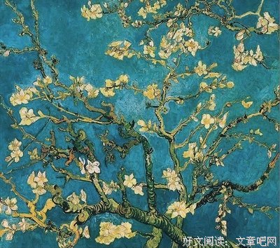 你喜欢我吗沈老师