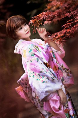 最新的《花神传》小说句子