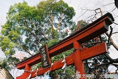 《年轻的梦想525》的句子
