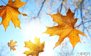 唯美好词好句