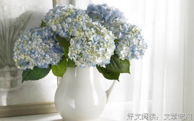 感恩的心句子大全