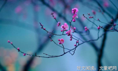 关于自样触心底的句子