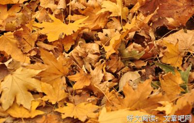 自己喜欢的优美的句子