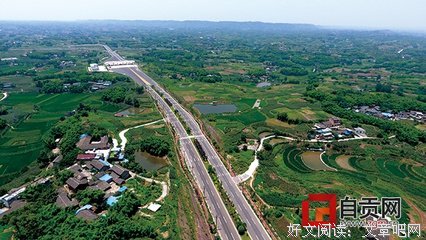 《乐自芳邻来》经典观后感有感