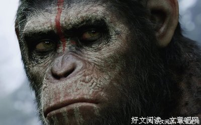《007之黎明生机》的观后感大全