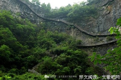 木叶的新芽句子