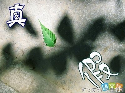 亲爱的谎言读后感100字