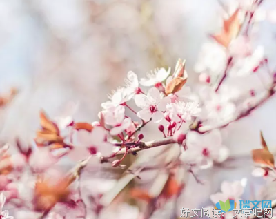 人年子的语句摘抄_关于人年子的语句