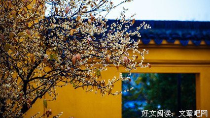 净慧的句子