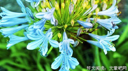 刘轻的句子