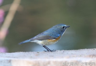 于晴的句子