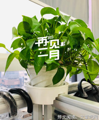 再见、小星星的优美句子