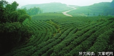 有关一句来上里 一别为以都别为的句子