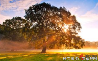 i like优美的句子