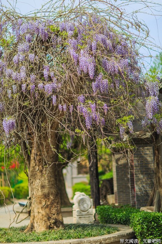 完美季节句子大全