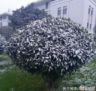 关于情感的句子