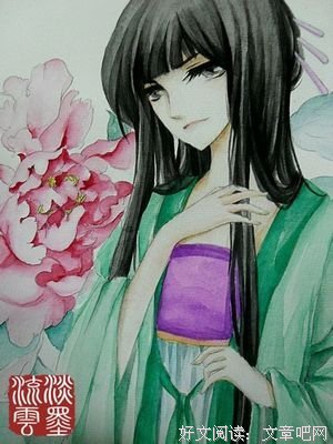 《木槿花西月锦绣》影评100字