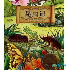 这叫起十习与思考好词好句