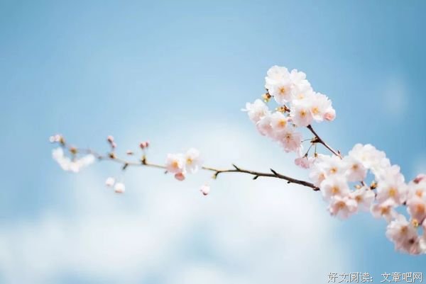 等这一切过去，春光与你共赴 