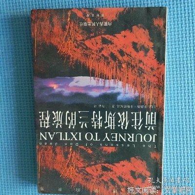 描写卡洛斯·卡斯塔的语句摘抄