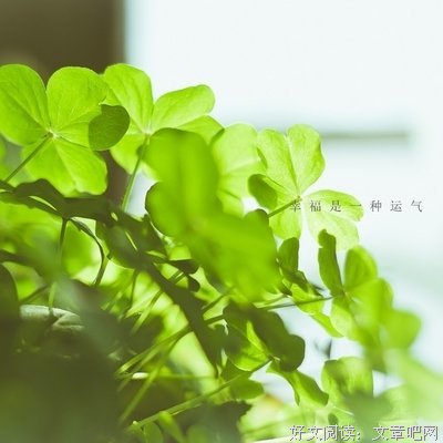 唯美女人味格把想句子大全