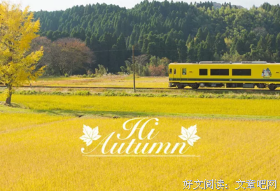 最新的《起风了》经典句子大全