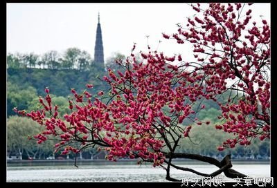 美句句子大全