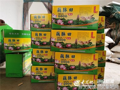 藕遇好词好句