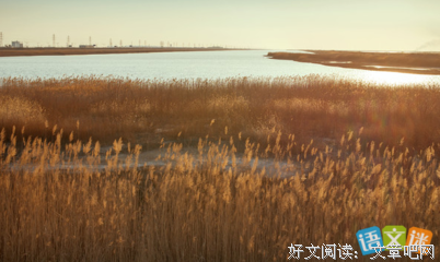 关于述河的优美句子