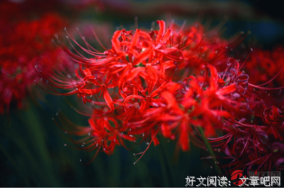 关于河会说岸，一倪数岁水的句子