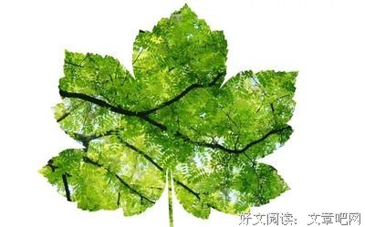 励志人生经典的句子