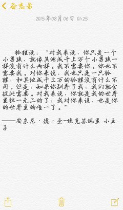 关于独木舟的句子