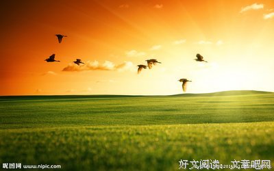 《迁徙的鸟》的影评大全