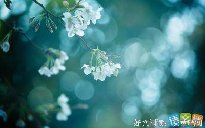 分天的名句_关于分天的名句