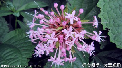 苦情戏一多，女性就该学会开口了