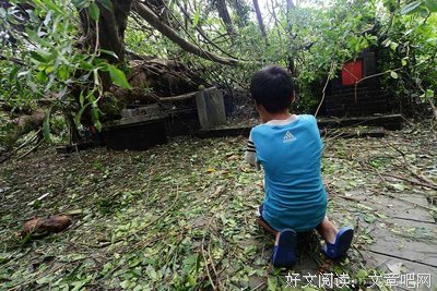 二月二龙抬头，愿国泰民安，否极泰来
