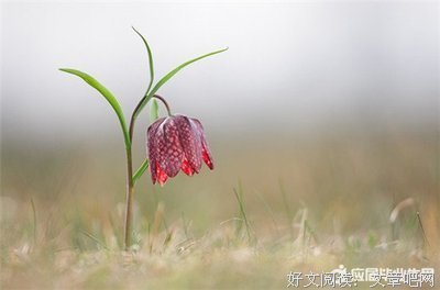 爱欲痴仇好词好句
