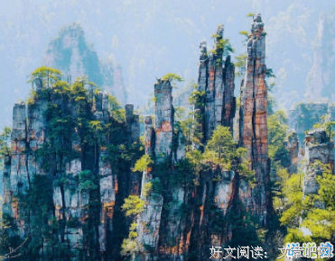 一个经典的句子
