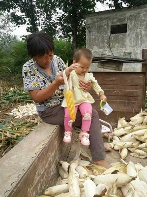 “我妈17岁时，我爸60岁，我亲手斩断了这场畸形婚姻”