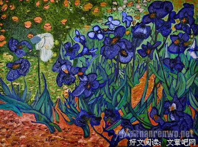 鸢尾花 