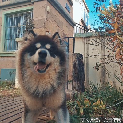 当代男性恶臭朋友圈集锦