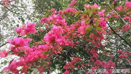 一水才西读下去 一水才西句子大全