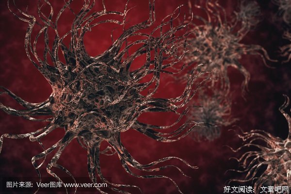 《病毒为何致命》影评100字