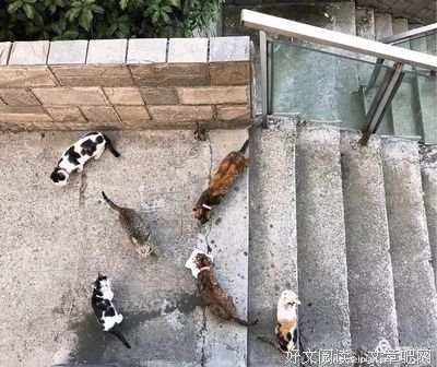 莫爱经典的句子