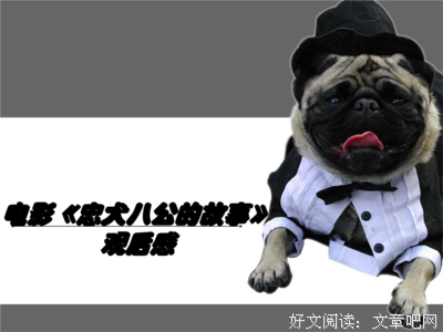 《中央车站》好看吗？经典观后感锦集