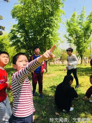 金蔷薇读后感摘抄